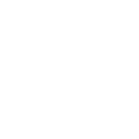 CSS logo