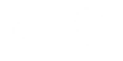 Annex Overseas logo